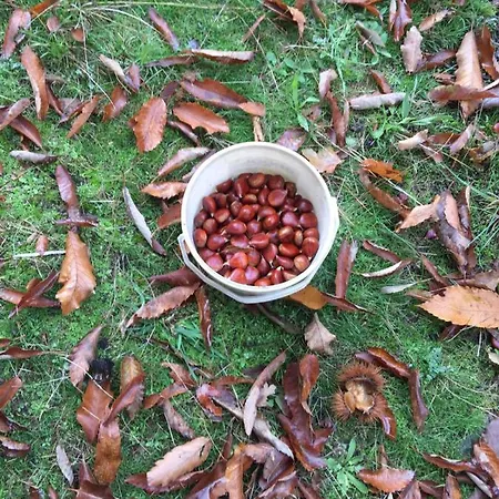 Casa Valentin Casillas