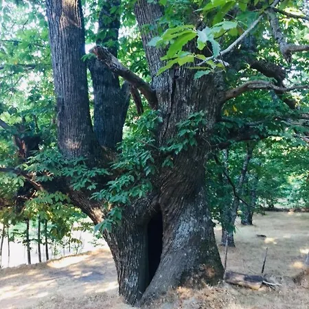 Casa Valentin Apartman