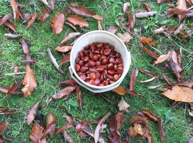 Casa Valentin Casillas