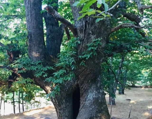 Casa Valentín Apartamento
