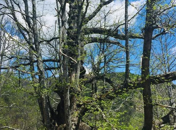 Casa Valentin Apartment *